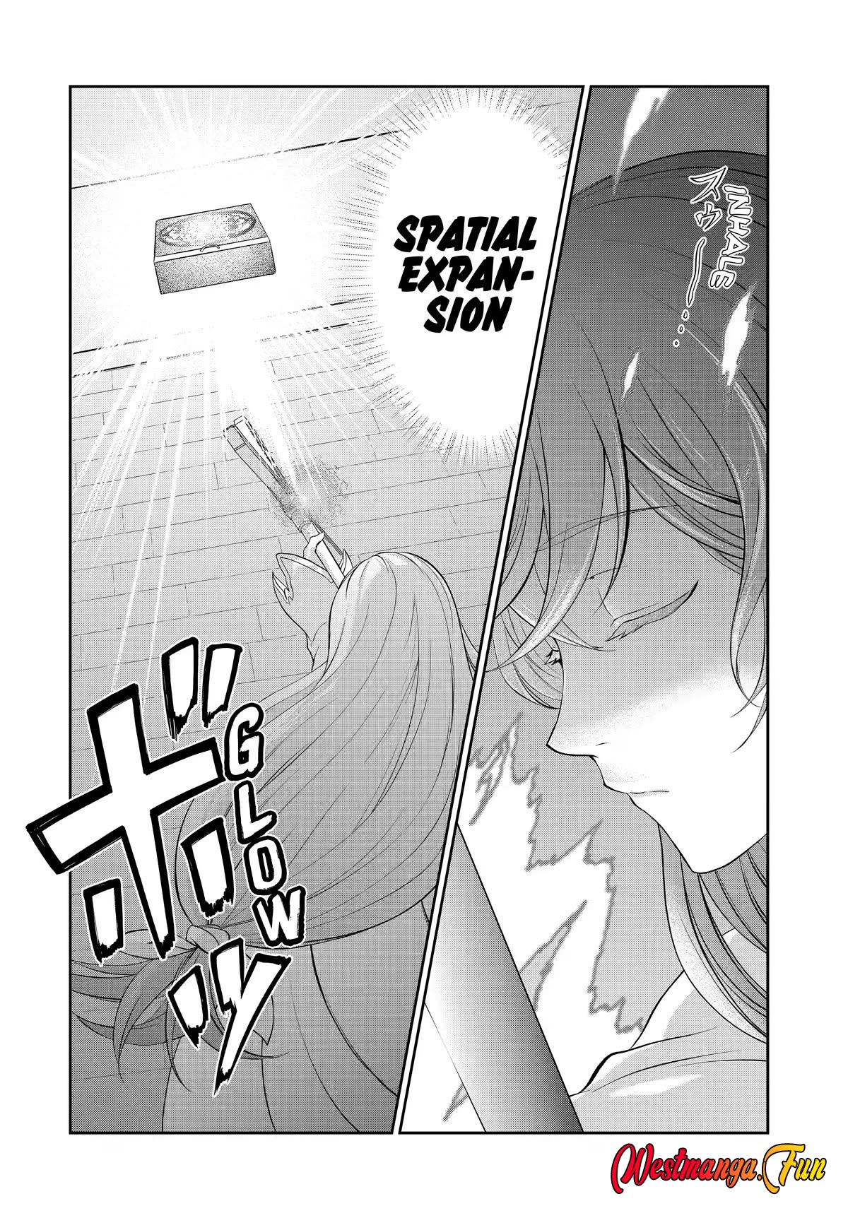 Renkinjutsu-shidesu. Jichou Wa Gomibako Ni Sutete Kimashita Chapter 9 Gambar 19