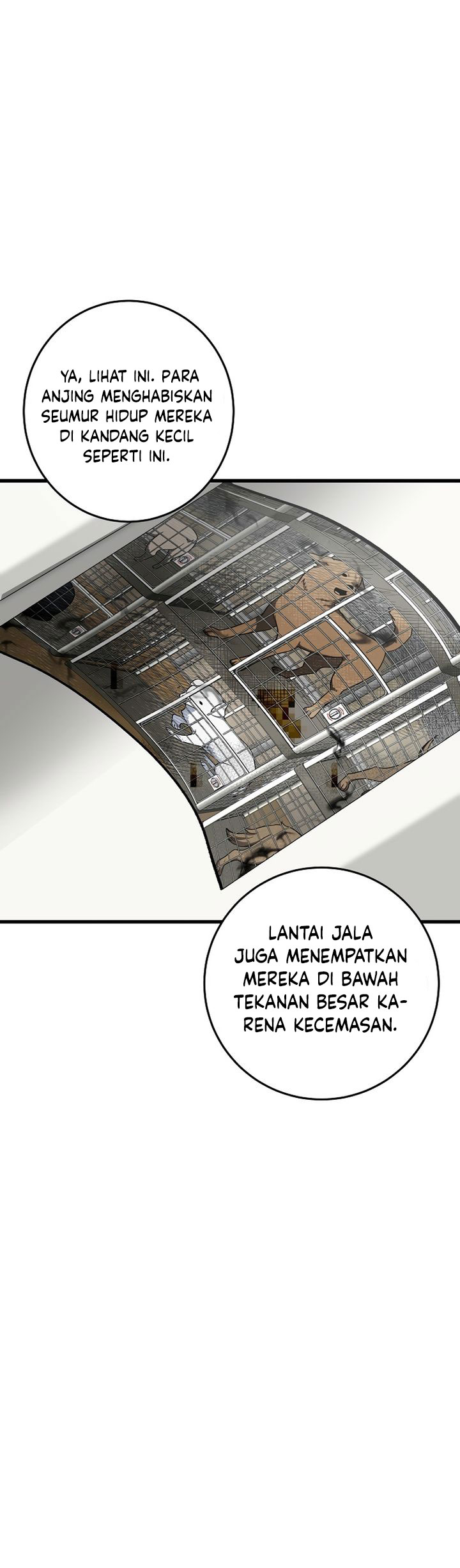 This is the Law Chapter 138 Gambar 37