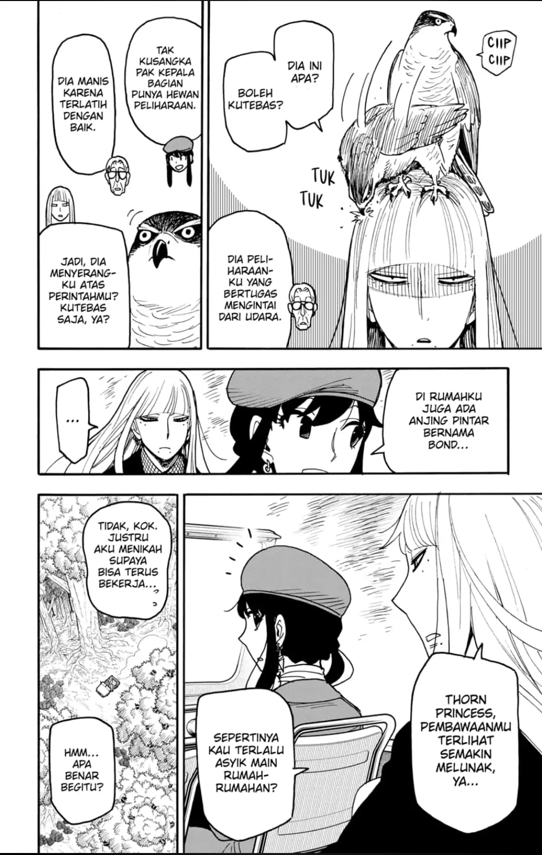 Baca Manga Spy X Family Chapter 116 Gambar 2