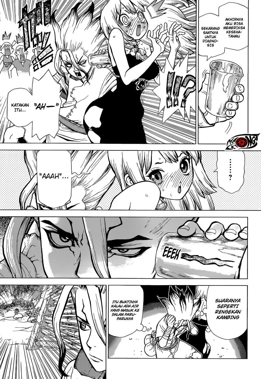 Dr. Stone Chapter 41 Gambar 3