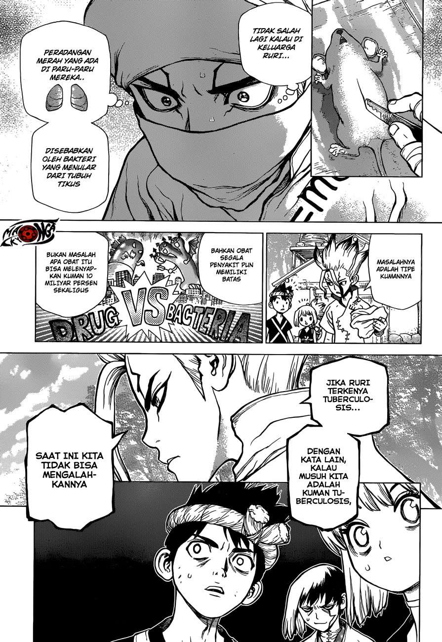 Dr. Stone Chapter 41 Gambar 5