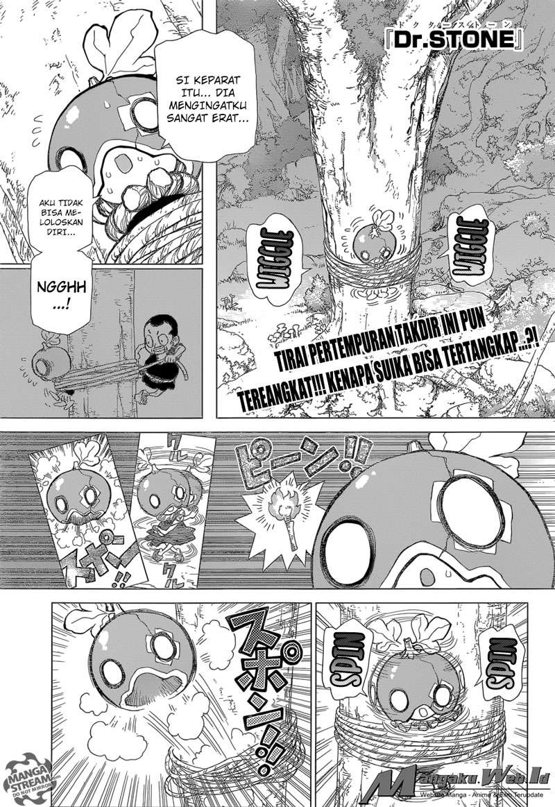 Baca Manga Dr. Stone Chapter 35 Gambar 2