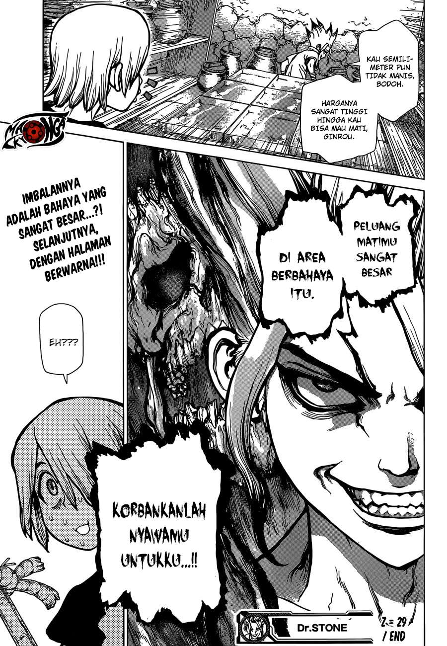 Dr. Stone Chapter 29 Gambar 20