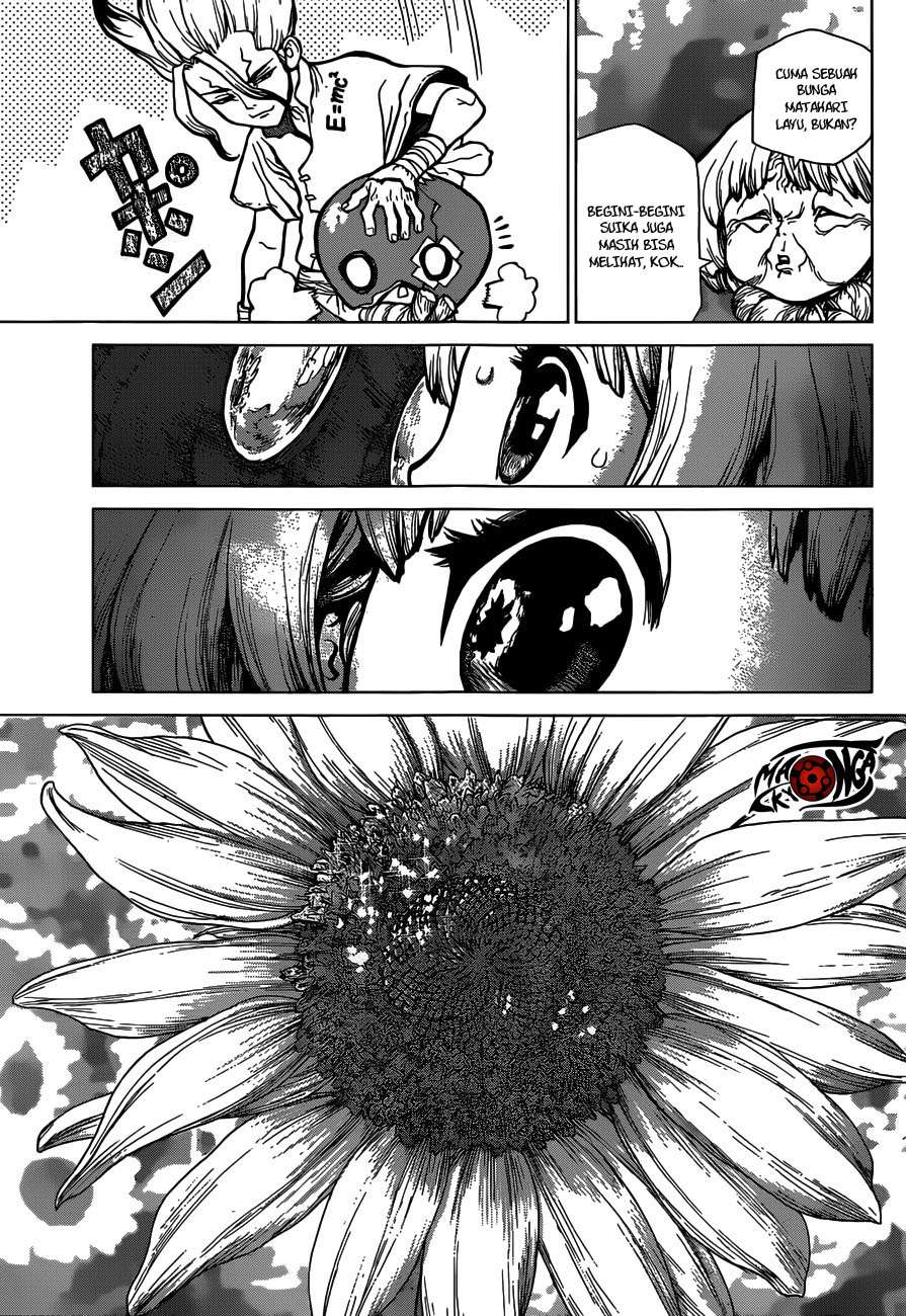 Dr. Stone Chapter 28 Gambar 14