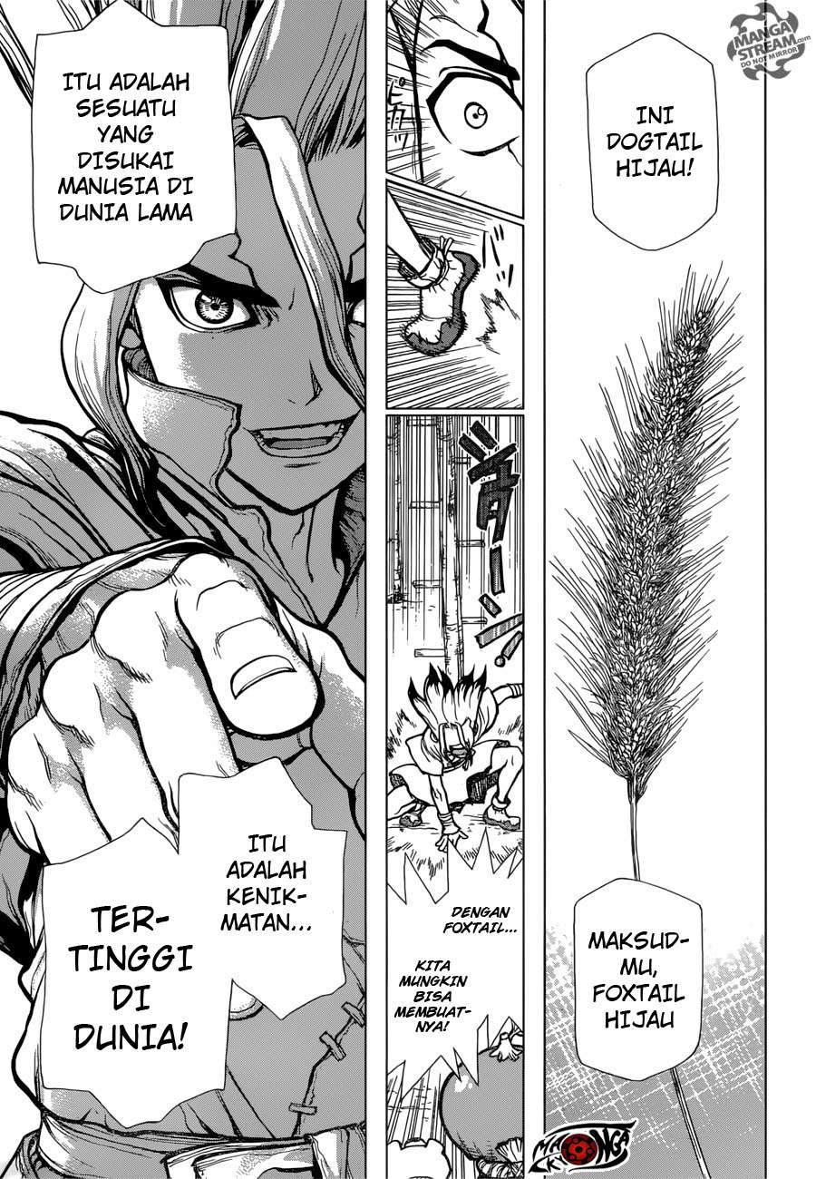 Dr. Stone Chapter 22 Gambar 9