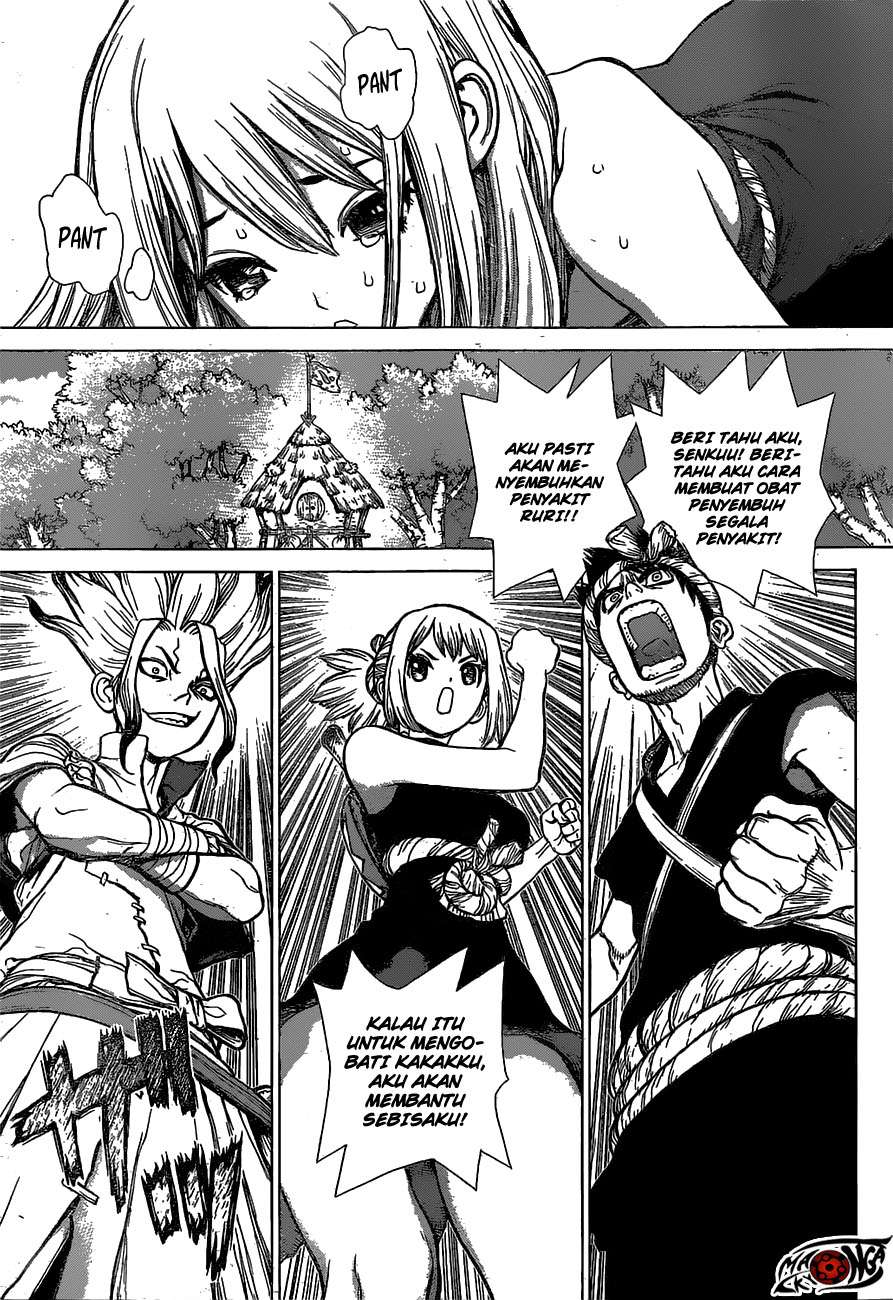 Dr. Stone Chapter 20 Gambar 5