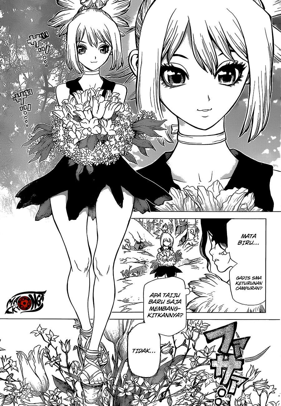 Dr. Stone Chapter 16 Gambar 4