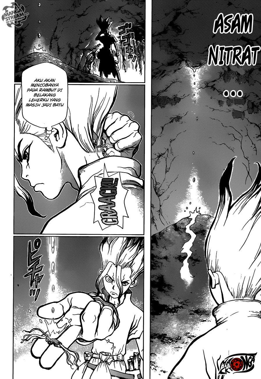 Dr. Stone Chapter 14 Gambar 10