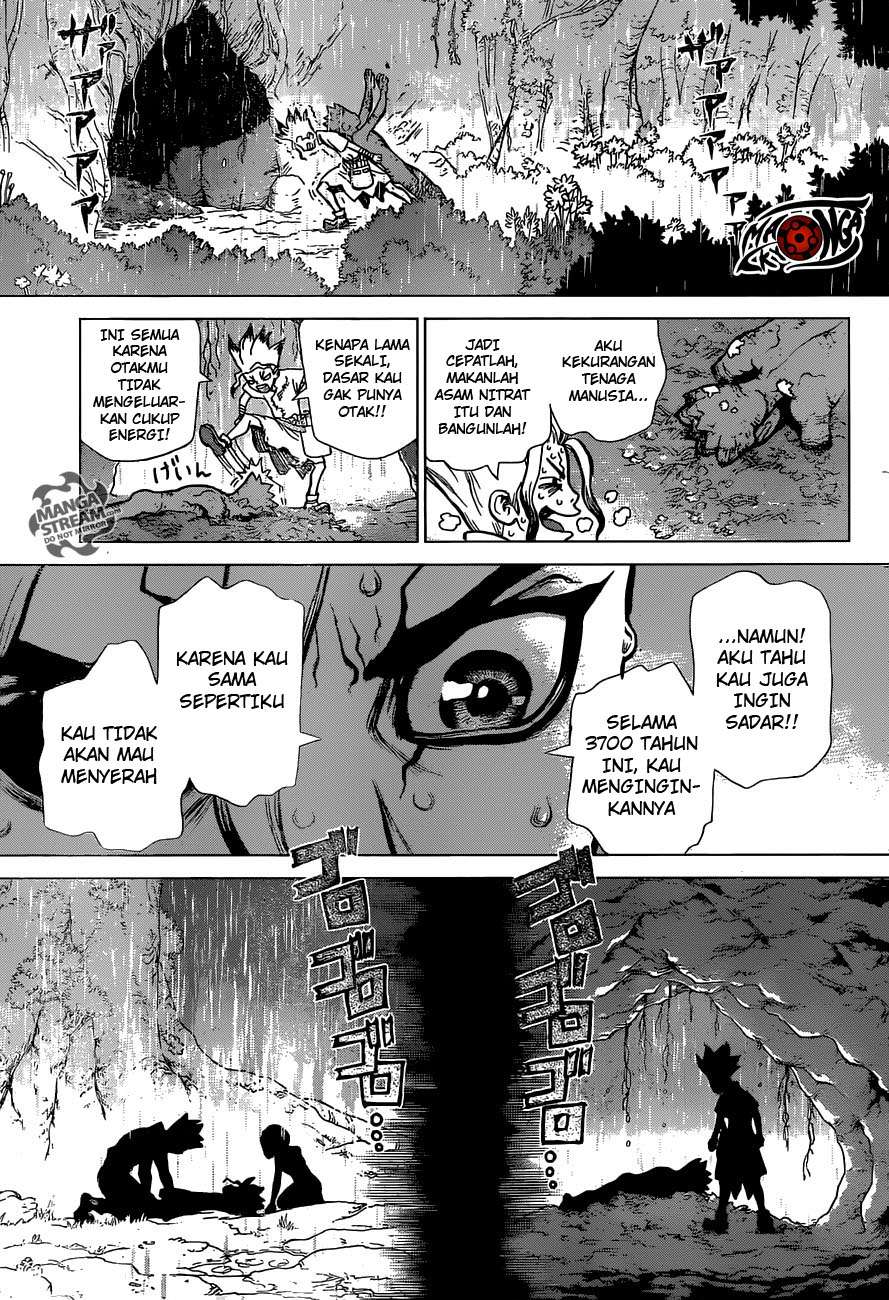 Dr. Stone Chapter 14 Gambar 17