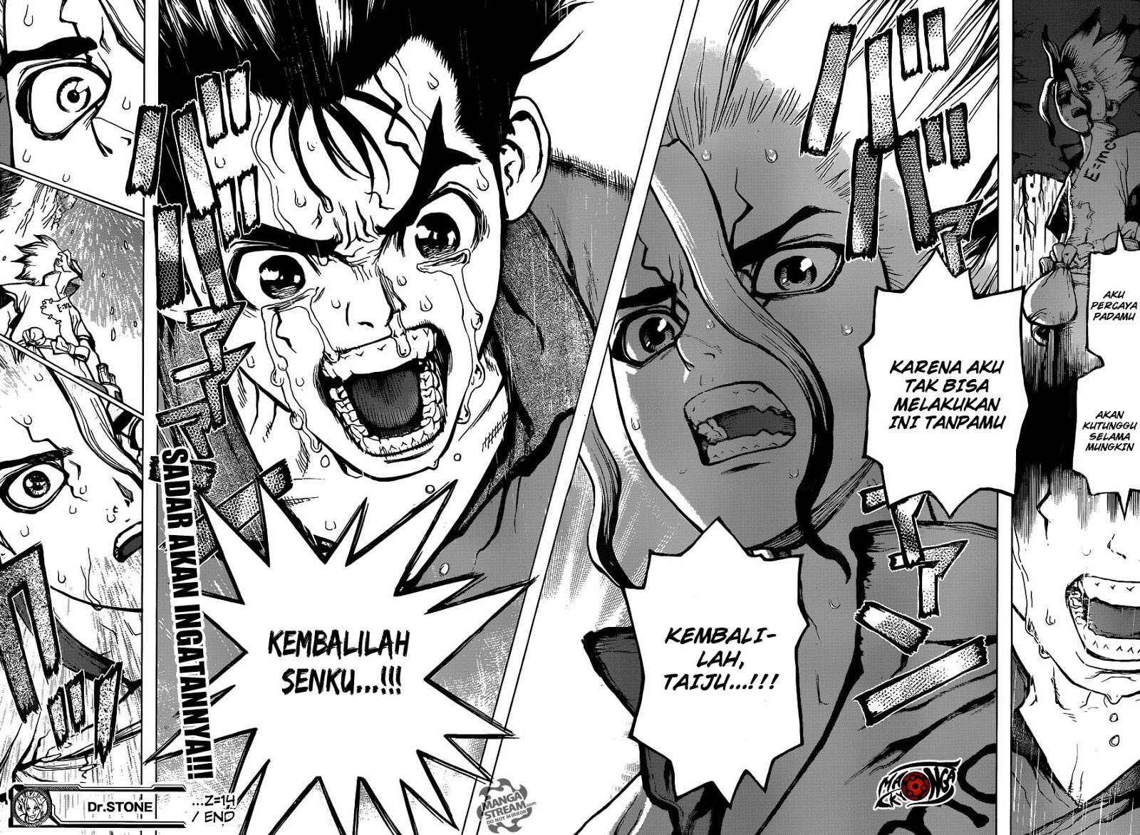 Dr. Stone Chapter 14 Gambar 18