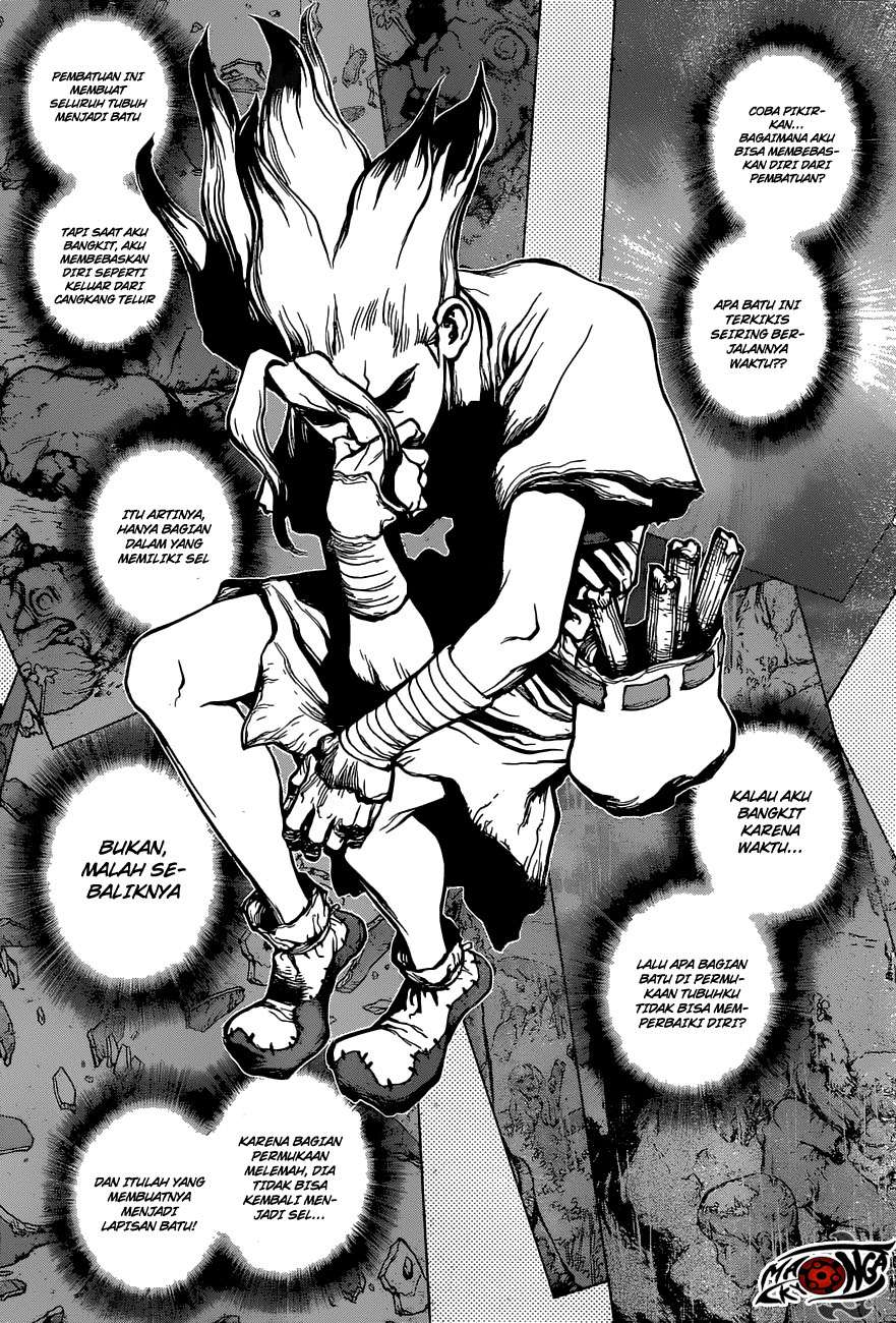 Dr. Stone Chapter 14 Gambar 8