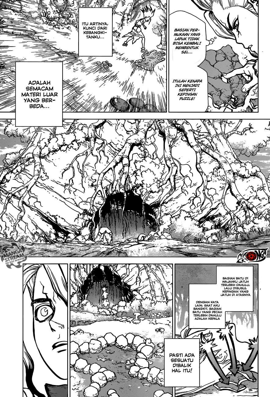 Dr. Stone Chapter 14 Gambar 9