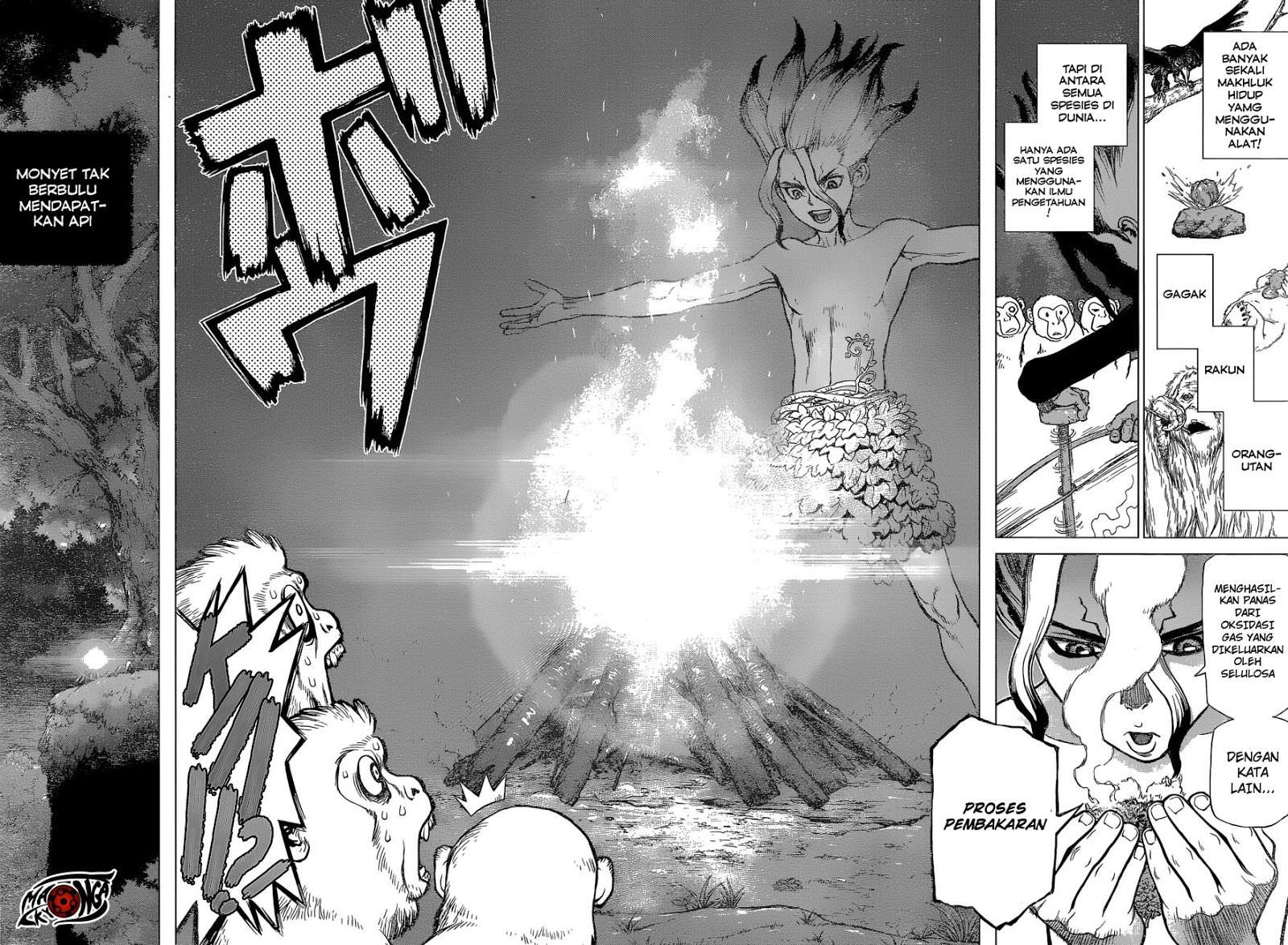 Dr. Stone Chapter 13 Gambar 16