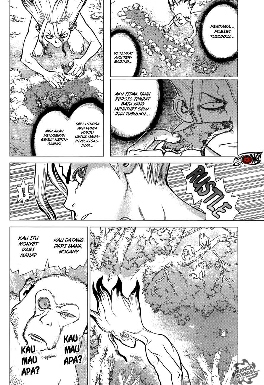 Dr. Stone Chapter 13 Gambar 5