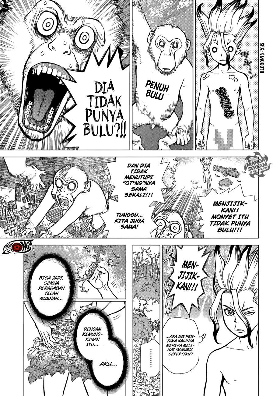 Dr. Stone Chapter 13 Gambar 6