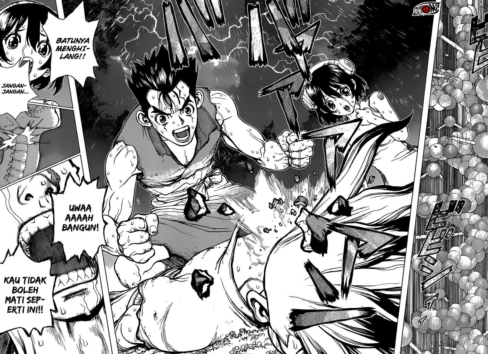 Dr. Stone Chapter 12 Gambar 15