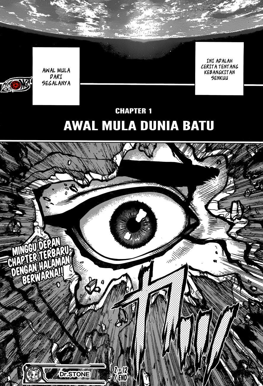 Dr. Stone Chapter 12 Gambar 19