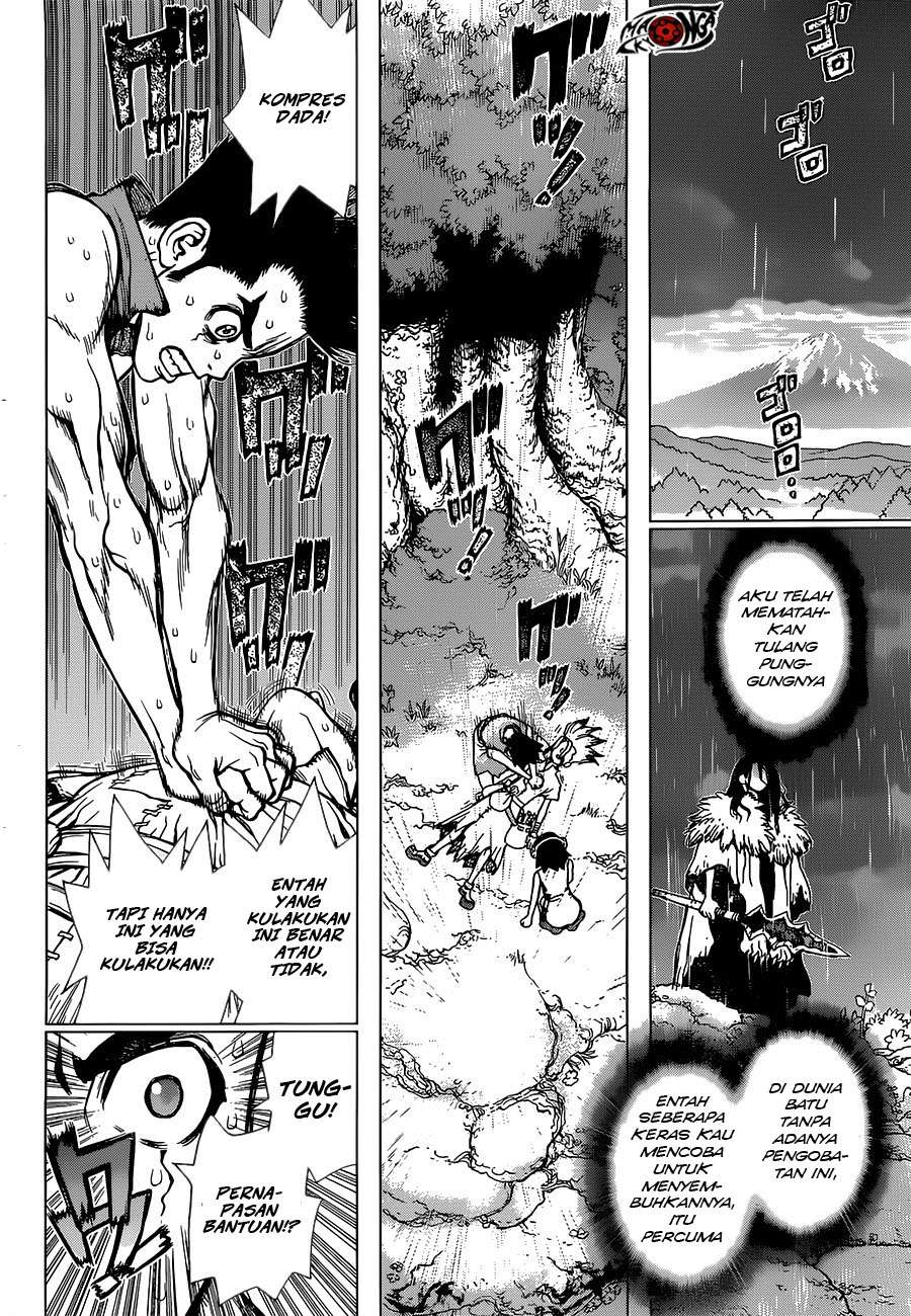 Dr. Stone Chapter 12 Gambar 7