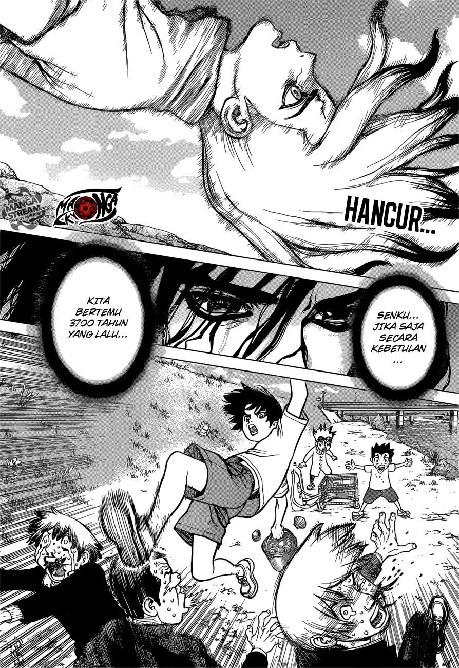 Dr. Stone Chapter 11 Gambar 3