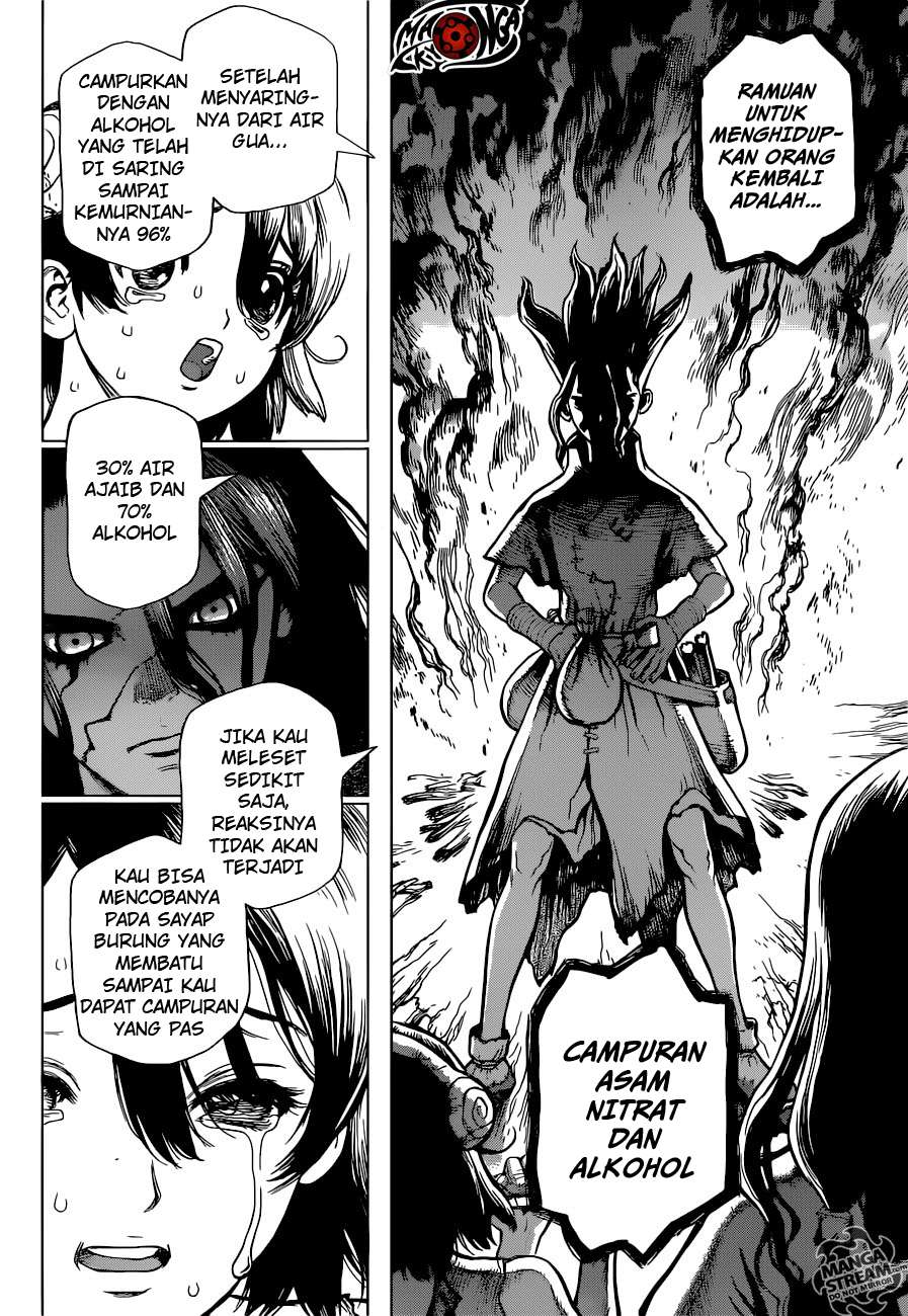 Dr. Stone Chapter 9 Gambar 14