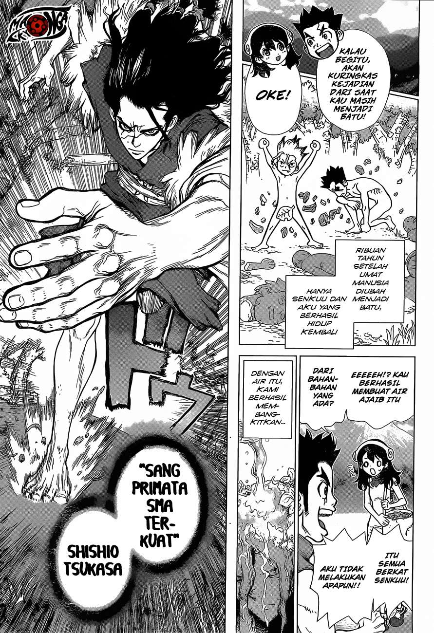 Dr. Stone Chapter 8 Gambar 6