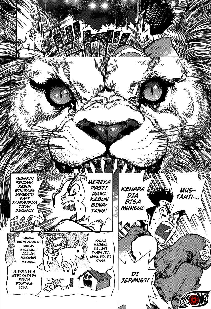 Dr. Stone Chapter 3 Gambar 7