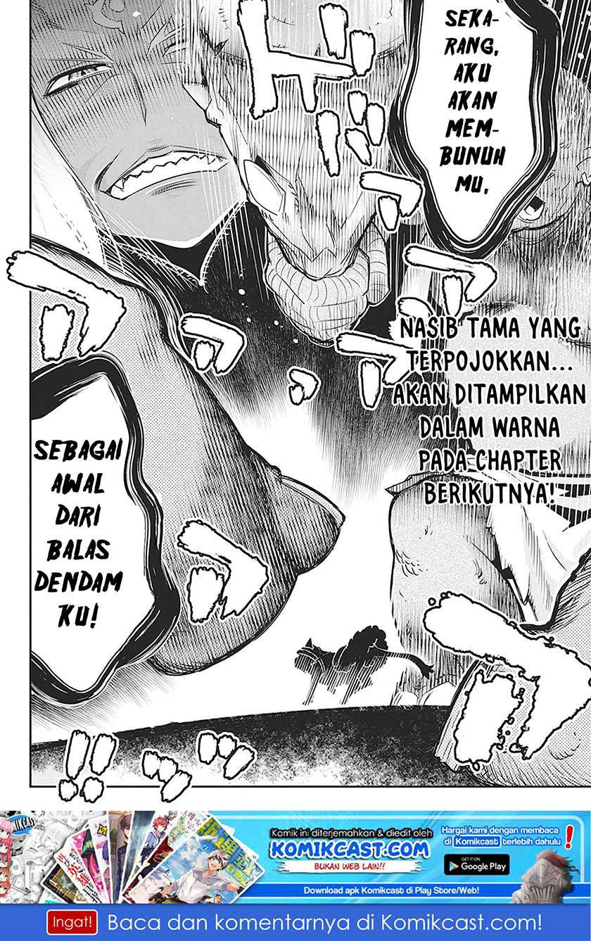 S-Rank Monster no Behemoth Dakedo, Neko to Machigawarete Erufu Musume no Kishi (Pet) Toshite Kurashitemasu Chapter 13 Gambar 23