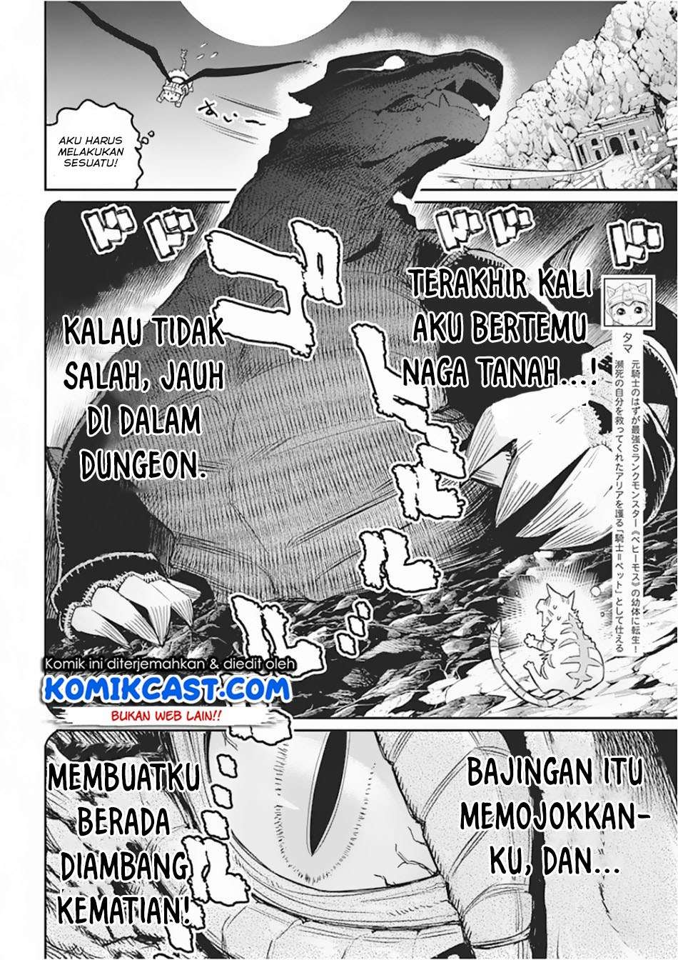 S-Rank Monster no Behemoth Dakedo, Neko to Machigawarete Erufu Musume no Kishi (Pet) Toshite Kurashitemasu Chapter 15 Gambar 3