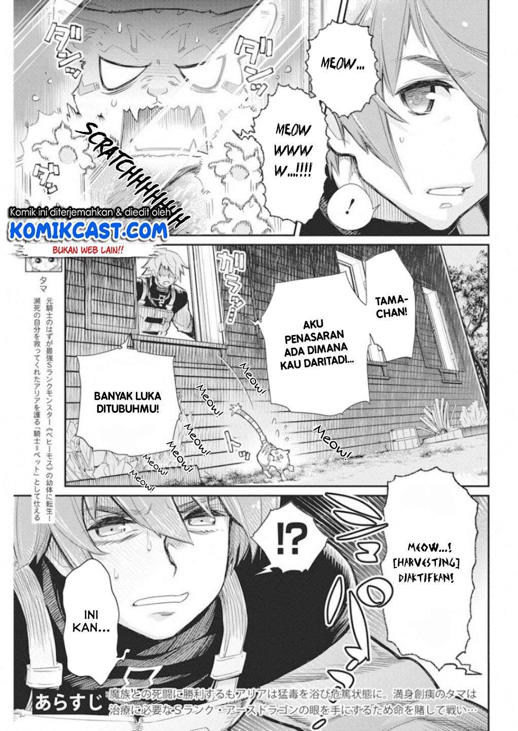 S-Rank Monster no Behemoth Dakedo, Neko to Machigawarete Erufu Musume no Kishi (Pet) Toshite Kurashitemasu Chapter 16 Gambar 19