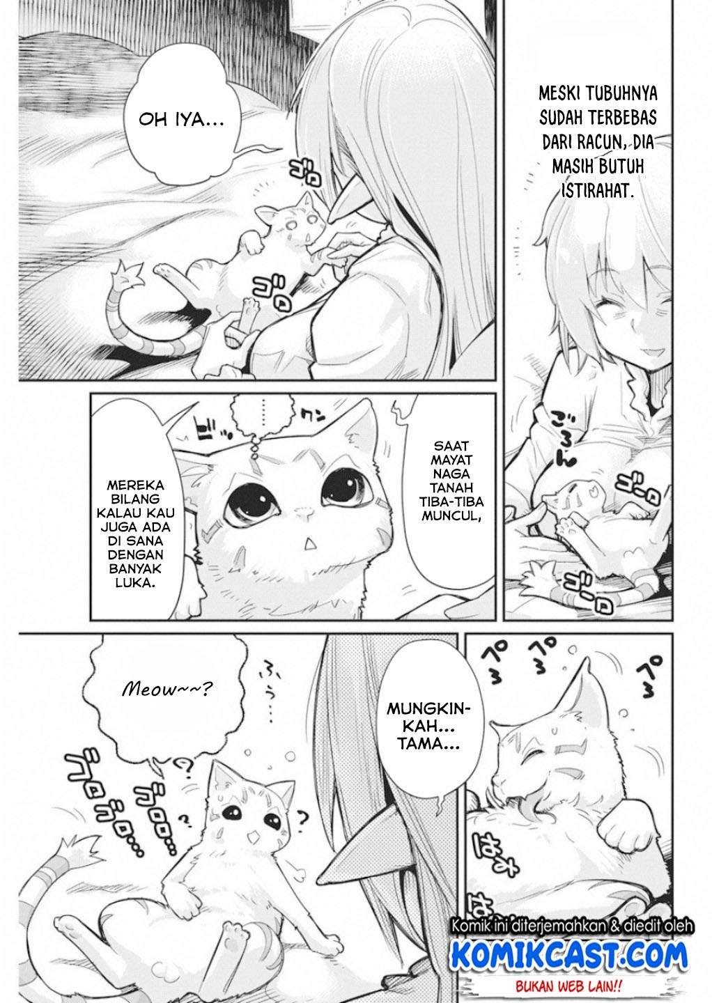 S-Rank Monster no Behemoth Dakedo, Neko to Machigawarete Erufu Musume no Kishi (Pet) Toshite Kurashitemasu Chapter 16 Gambar 25