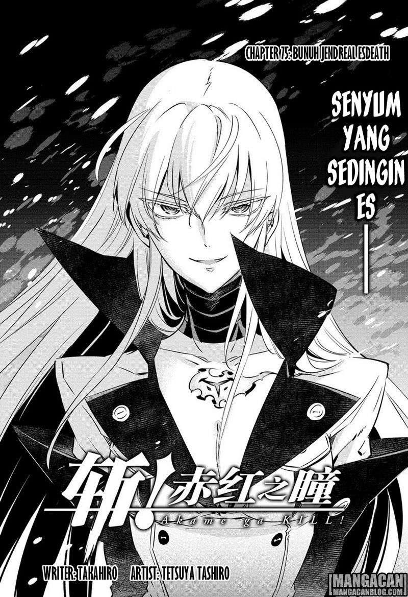 Akame ga Kill! Chapter 75 Gambar 4