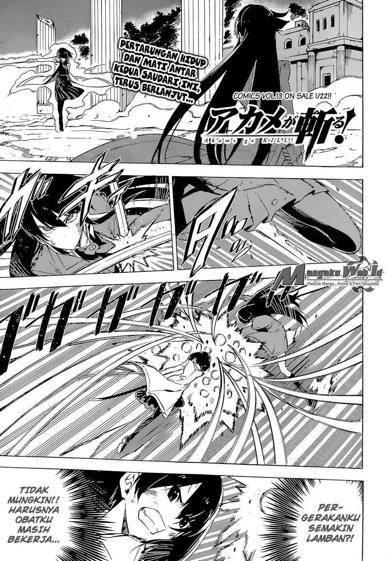 Akame ga Kill! Chapter 66 Gambar 6