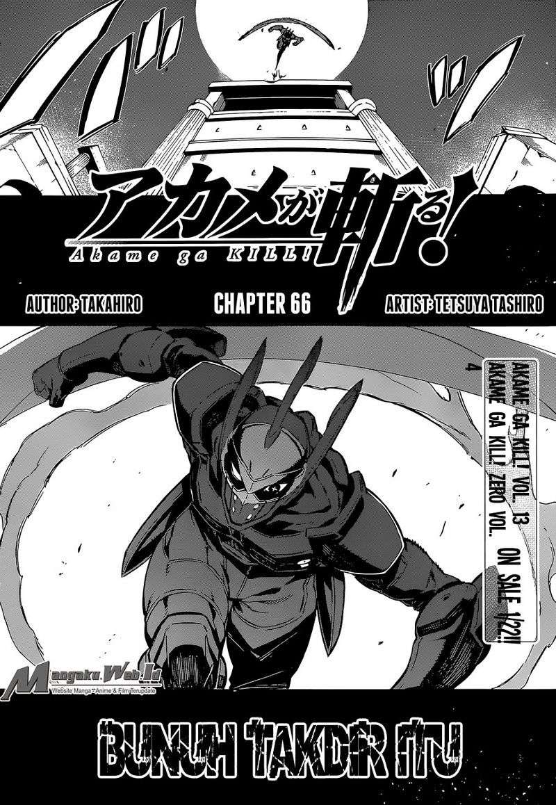Akame ga Kill! Chapter 66 Gambar 9