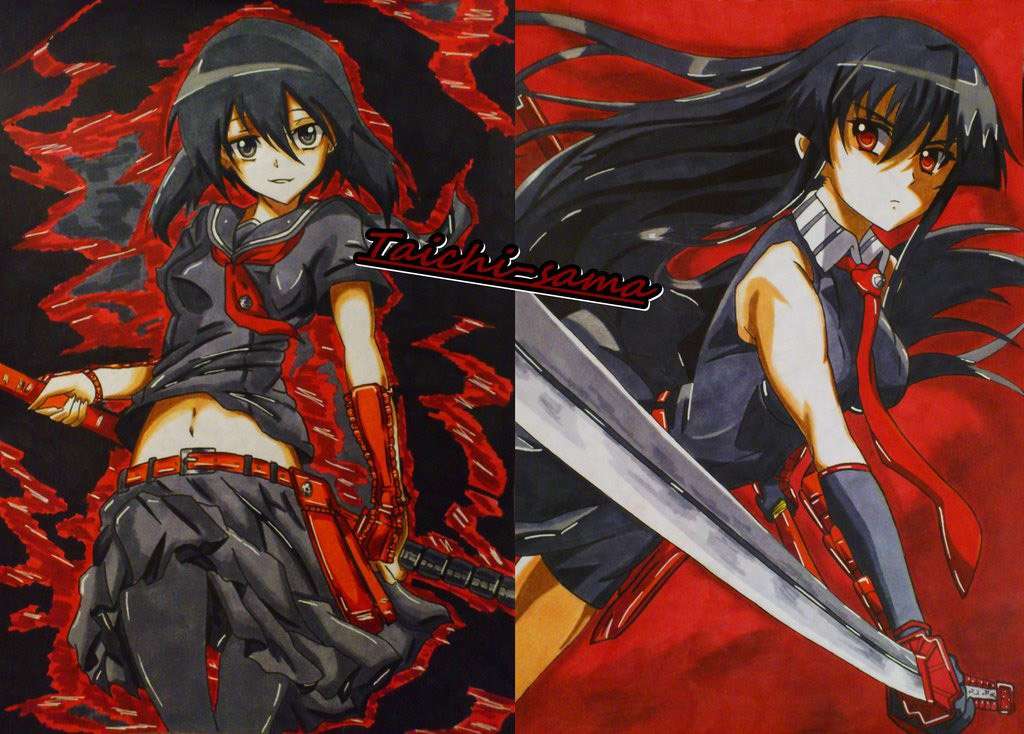 Akame ga Kill! Chapter 65 Gambar 35
