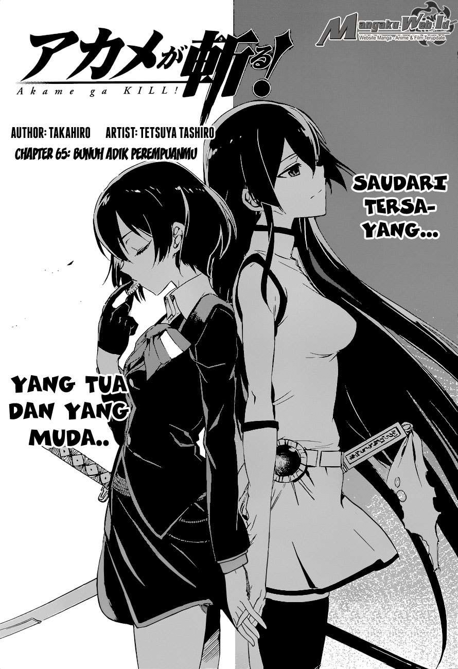 Akame ga Kill! Chapter 65 Gambar 4