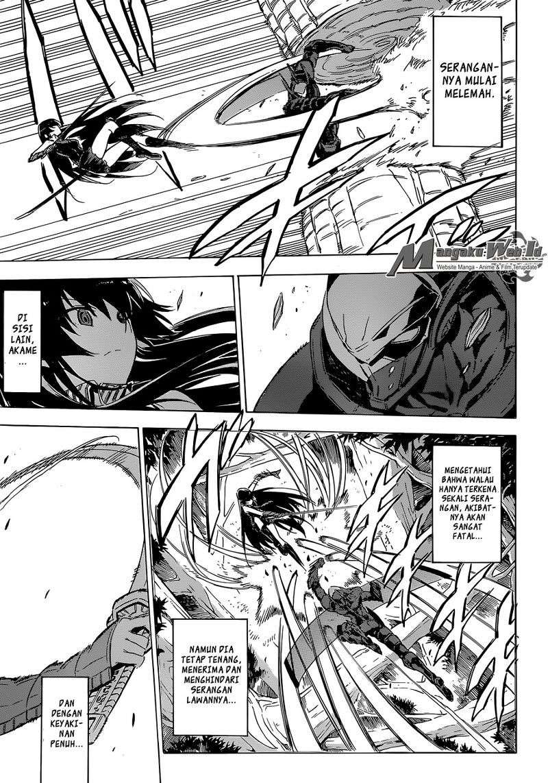 Akame ga Kill! Chapter 62 Gambar 13