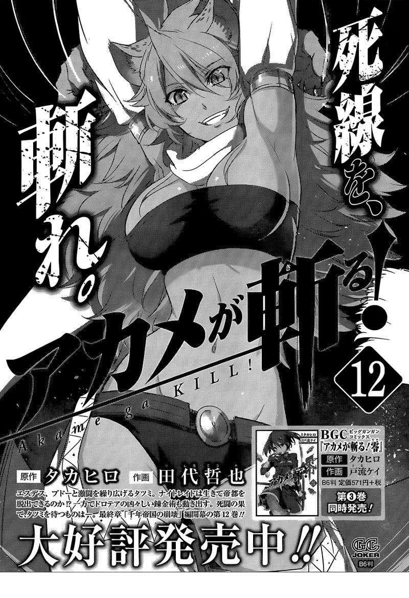 Akame ga Kill! Chapter 62 Gambar 49