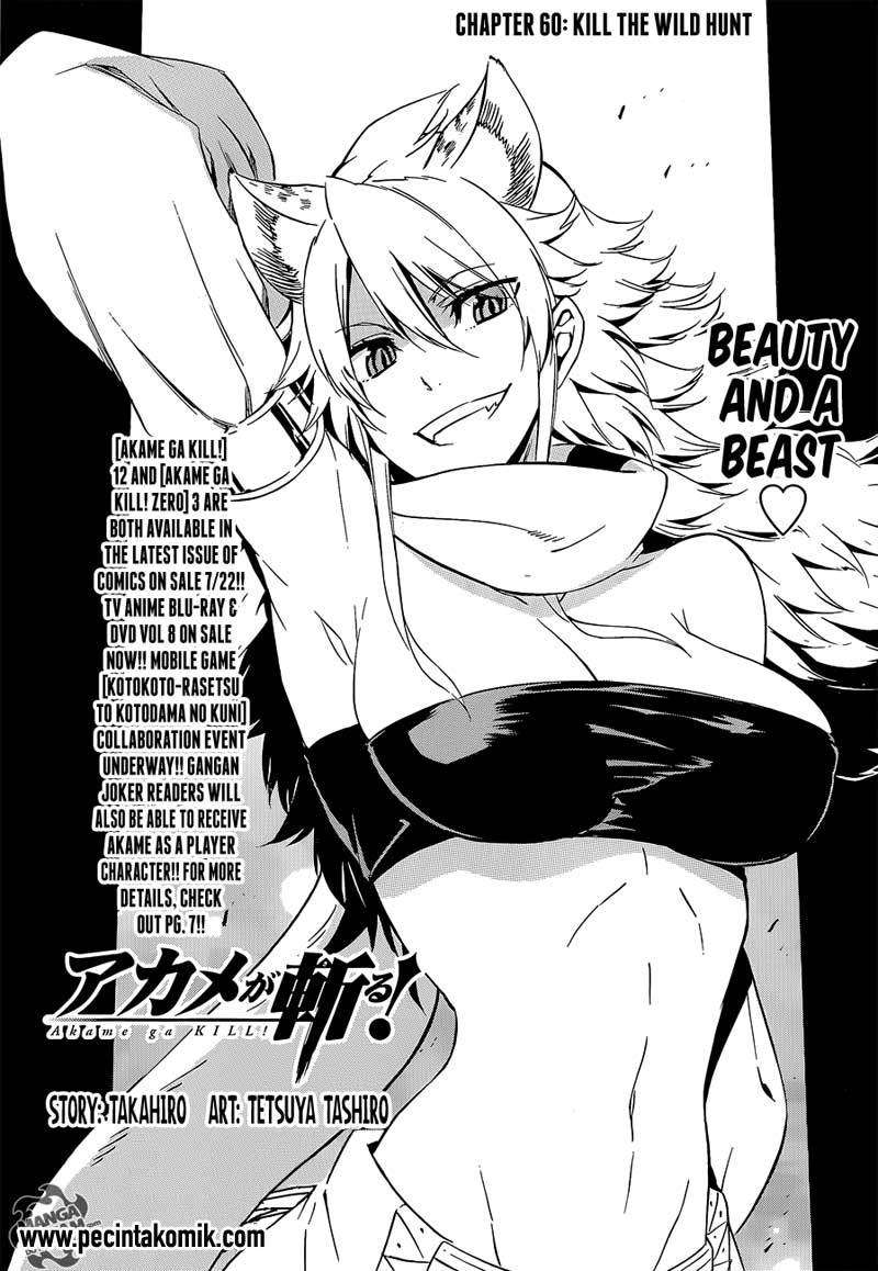 Baca Manga Akame ga Kill! Chapter 60 Gambar 2