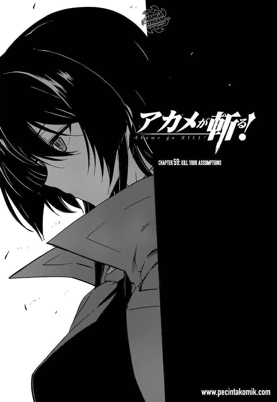 Baca Manga Akame ga Kill! Chapter 59 Gambar 2