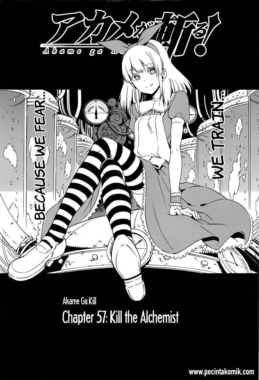 Akame ga Kill! Chapter 57 Gambar 3