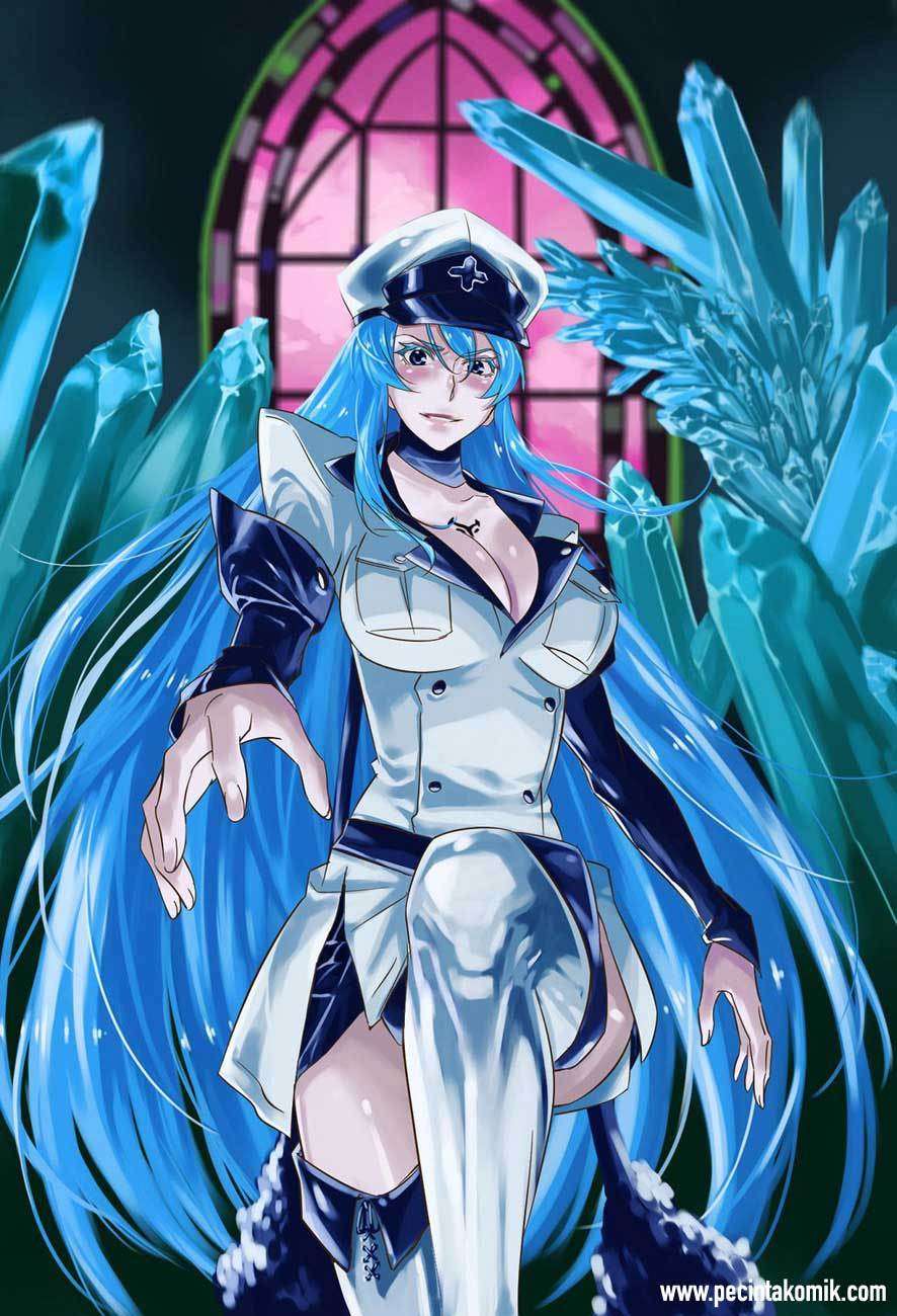Akame ga Kill! Chapter 57 Gambar 4