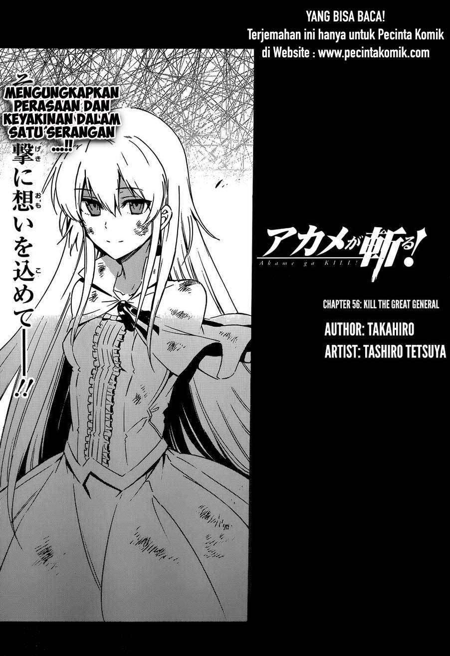 Akame ga Kill! Chapter 56 Gambar 19