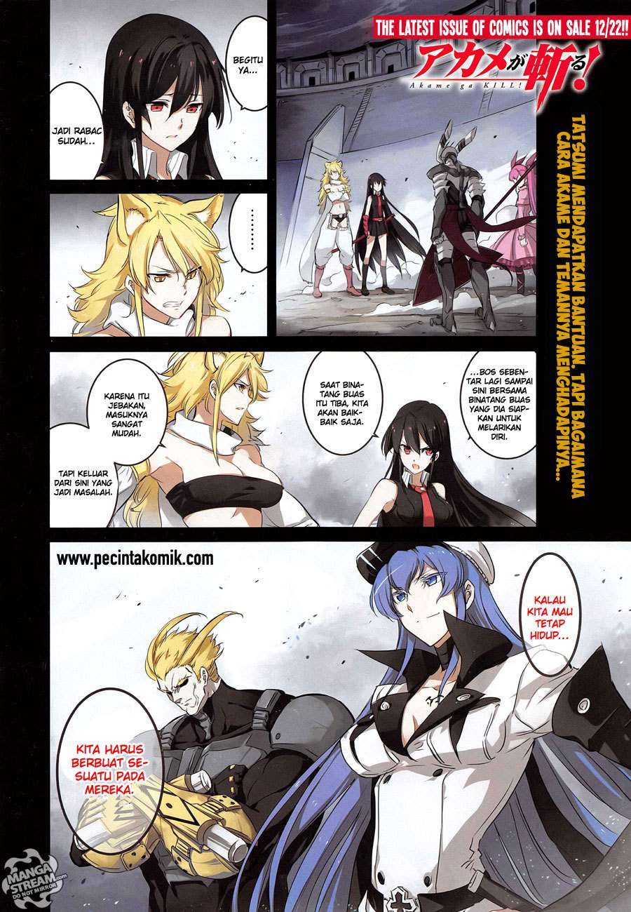 Baca Manga Akame ga Kill! Chapter 55 Gambar 2