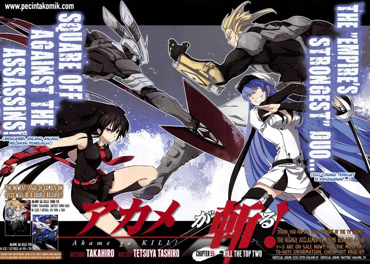Akame ga Kill! Chapter 55 Gambar 3
