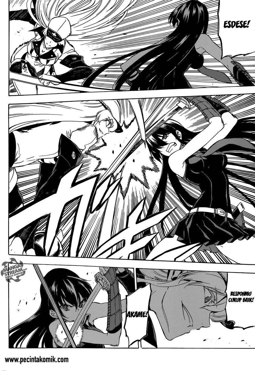 Akame ga Kill! Chapter 55 Gambar 8