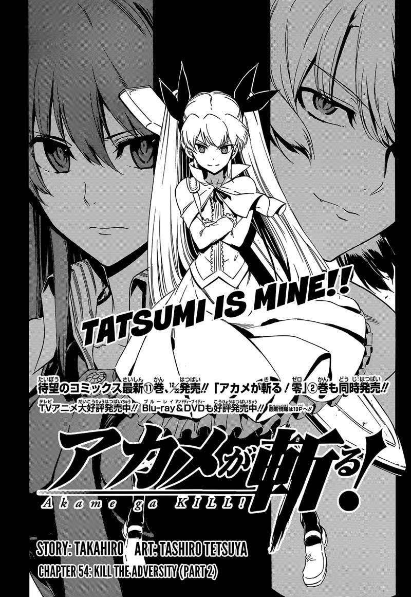 Akame ga Kill! Chapter 54 Gambar 5