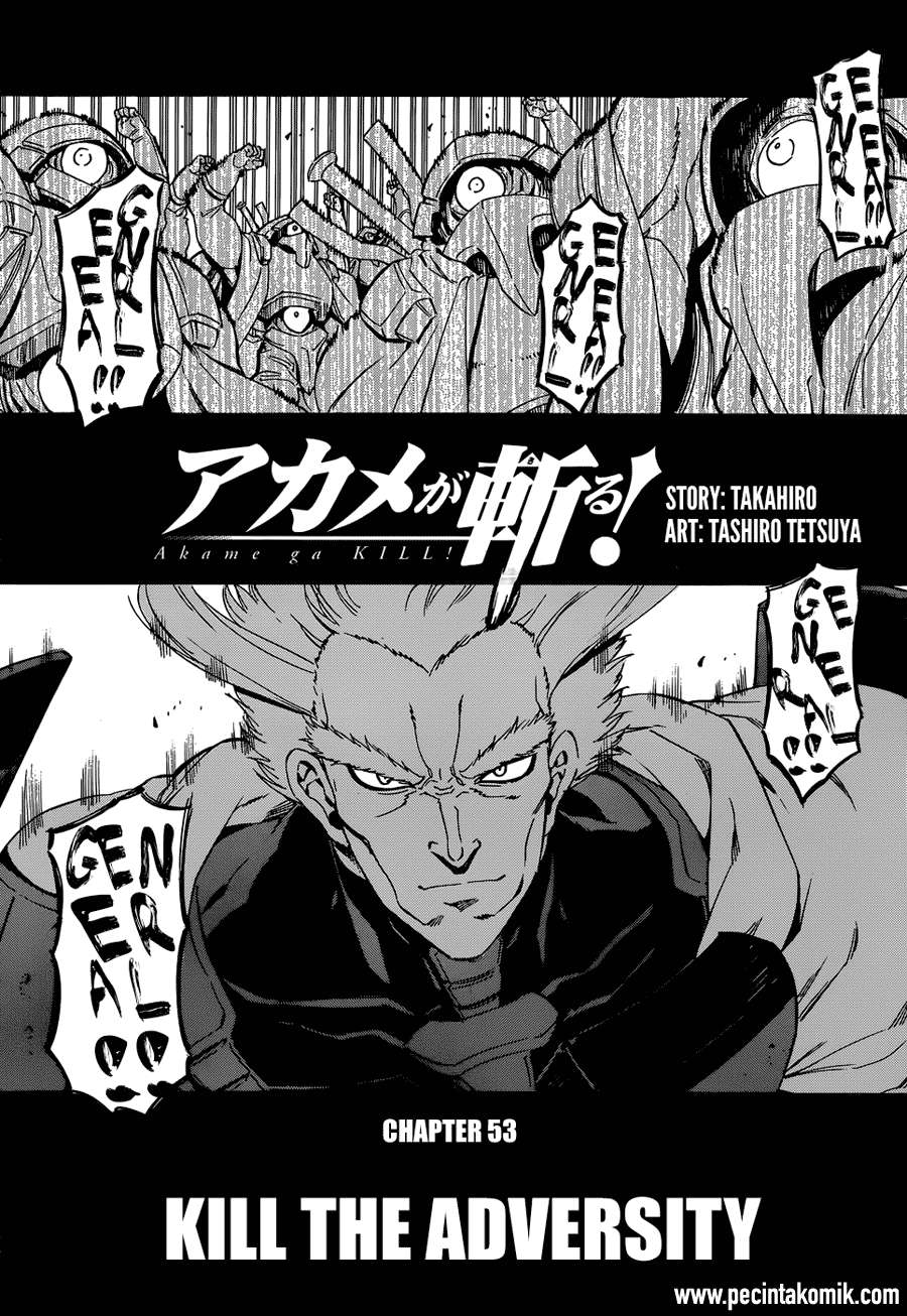 Akame ga Kill! Chapter 53.2 Gambar 5