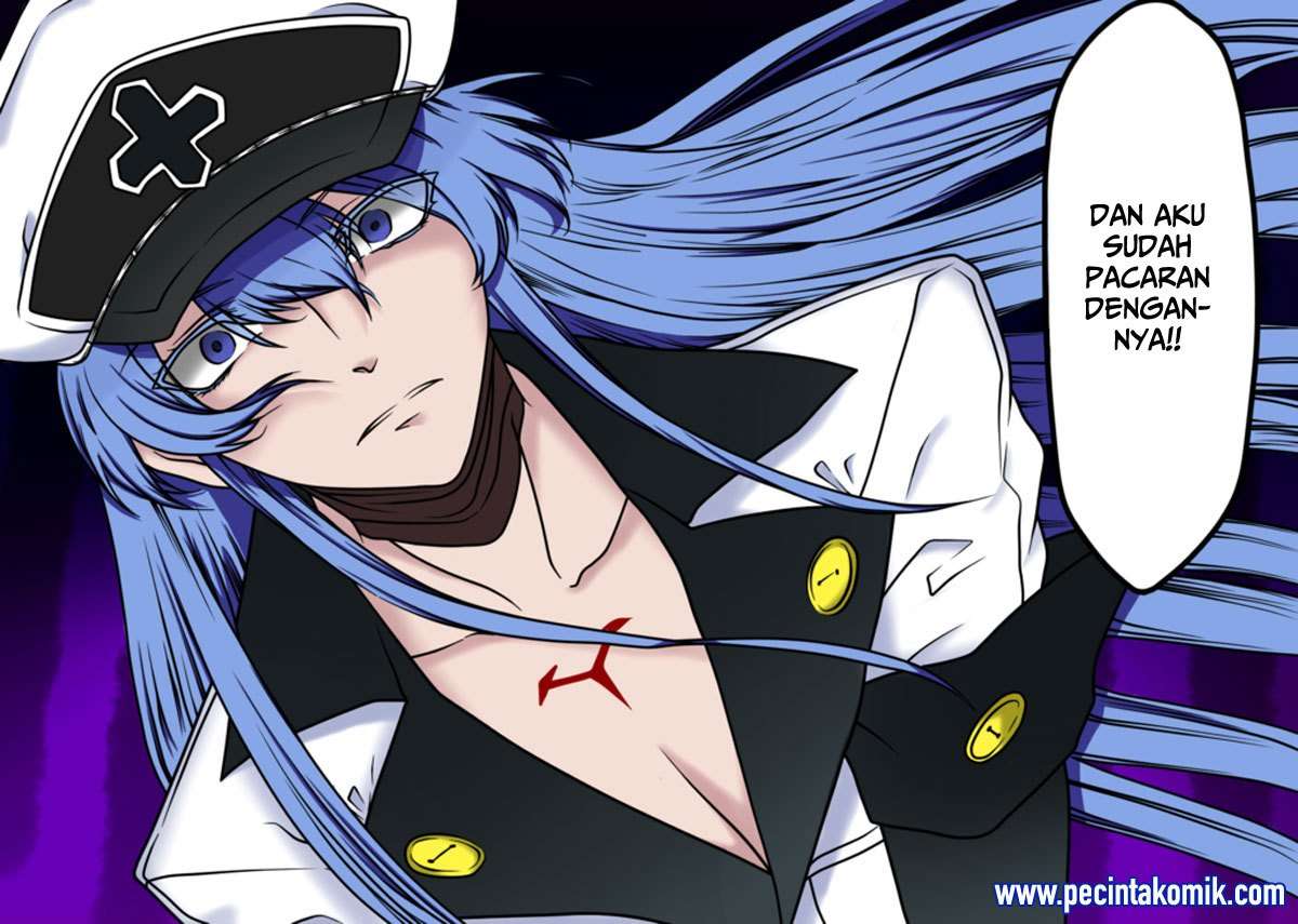 Akame ga Kill! Chapter 52.1 Gambar 31