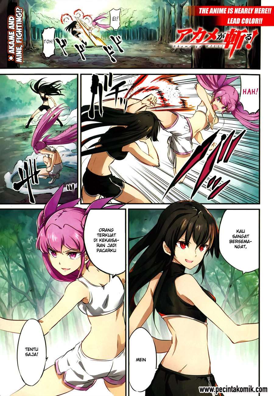 Akame ga Kill! Chapter 51 Gambar 10