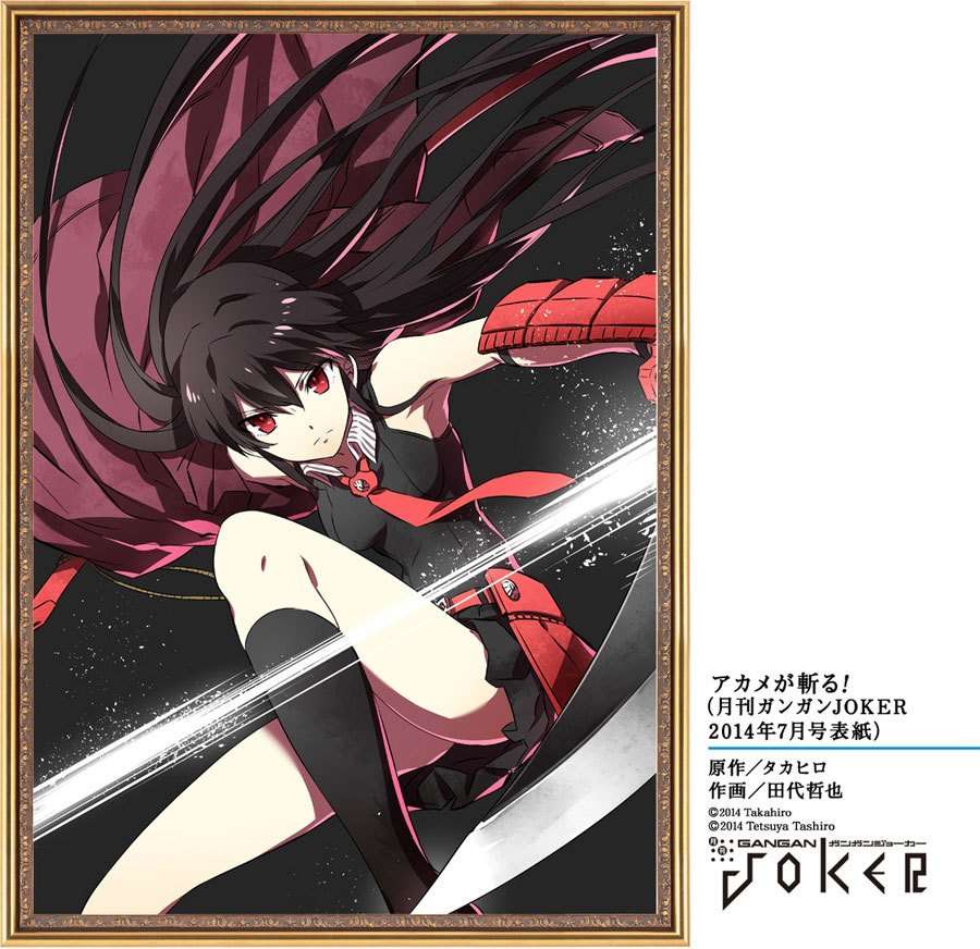 Akame ga Kill! Chapter 51 Gambar 7